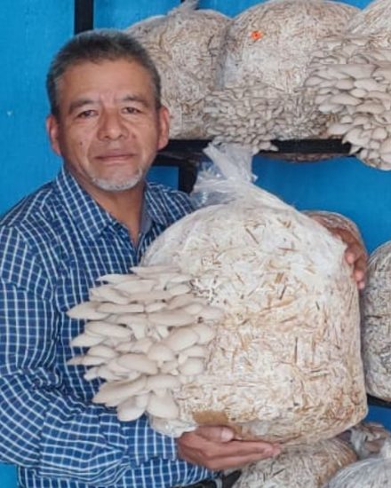 Rigoberto sostiene una bolsa de cultivo con hongos seta recién brotados entre los anaqueles de su producción en Papalotla